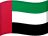 AED flag