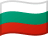 BGN flag