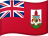 BMD flag