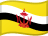 BND flag
