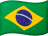 BRL flag