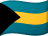BSD flag