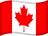 CAD flag