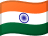 INR flag