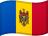 MDL flag