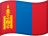 MNT flag