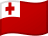 TOP flag