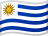UYU flag